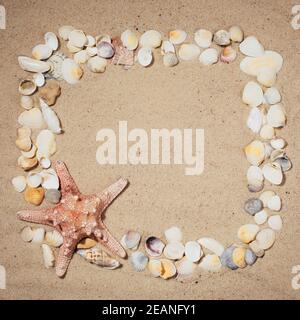 Seashells, starfish and sea pebbles frame on beach sand background. Natural seashore textured sand, copy space. Stock Photo