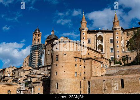 Palazzo Ducale di Urbino, Urbino, UNESCO World Heritage Site, Marche, Italy, Europe Stock Photo