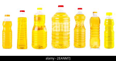 Set of Bottles of sunflower oil isolated on white Stock Photo