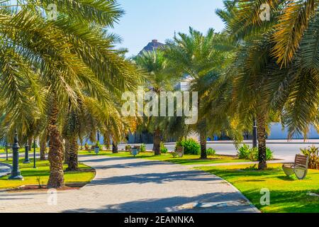 Green alley in the middle of a street in Muscat, Oman. Stock Photo