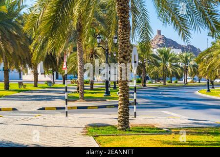 Green alley in the middle of a street in Muscat, Oman. Stock Photo