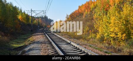 The railway passes through a beautiful autumn forest with colorful trees. Stock Photo