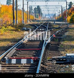 The railway passes through a beautiful autumn forest with colorful trees. Stock Photo