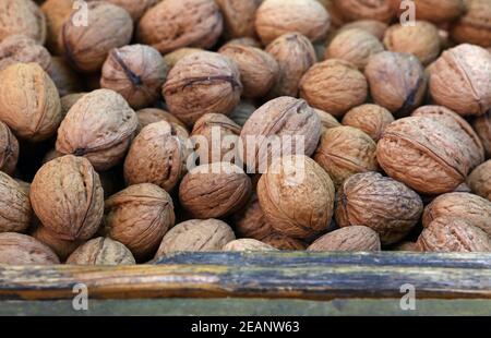 Whole walnuts in nutshells close up Stock Photo