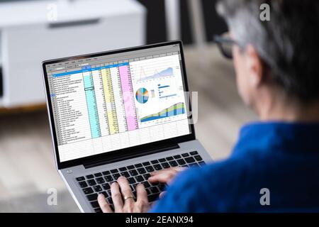 Spreadsheet Data Software Reports On Laptop Stock Photo