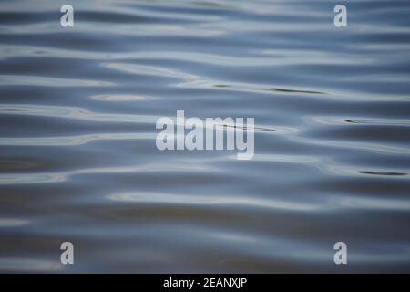 Cool blue abstract water surface with gentle ripples
