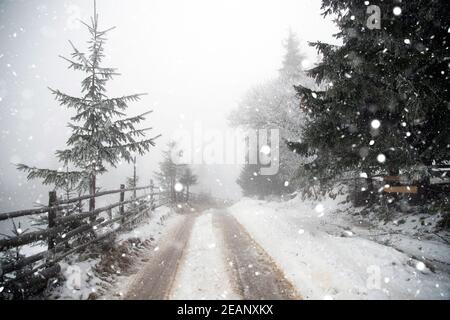 Country road leading among frosted trees Stock Photo