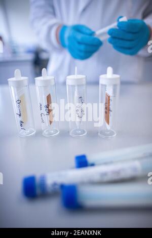 Preparing A Testing Lab Laboratory scientist preparing samples for microscopic examination ...