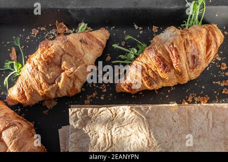 Delicious fresh baked Croissant and pita with cheese, microgreen sprouts in bakery black pan. Sandwich from croissant. Healthy snack. Vegan food. Anti Stock Photo