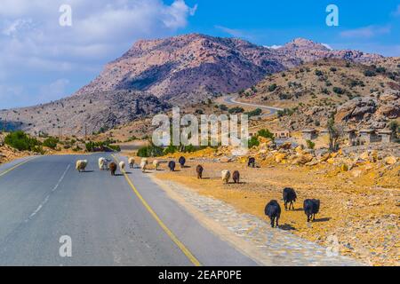 view of a road leading to the Jebel Shams in Hajar mountains in Oman. Stock Photo