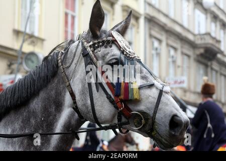 Parade of 70 participants, thirty horses and forty members of a brass band to the main square were announced next, 300th Sinjska alka in Zagreb Stock Photo