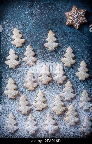 Snowy landscape with small Christmas trees and gingerbread star in sky Stock Photo