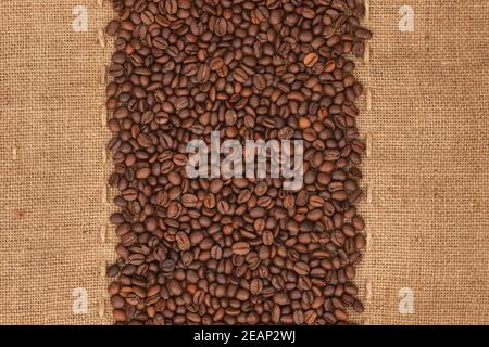 Coffee beans lying on sackcloth Stock Photo