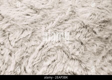 White fur background close up view Stock Photo