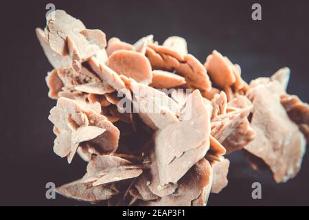 Desert rose crystal isolated on black background Stock Photo