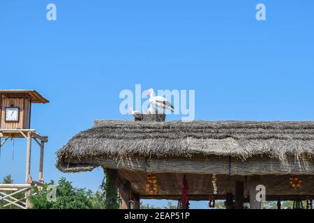 Figures storks on the thatched roof Stock Photo