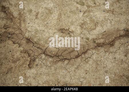 Dry and cracked earth Stock Photo