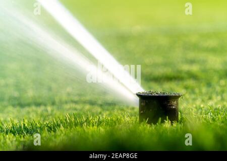 watering the lawns of sports grounds with the help of automatic spray systems Stock Photo