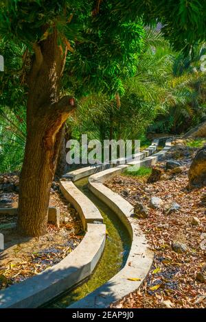 View of an oasis with typical falaj irrigation system in the Wadi Tiwi in Oman. Stock Photo