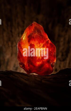 Beauty of natural raw amber. A piece of yellow and red semi transparent natural amber on piece of stoned wood. Stock Photo