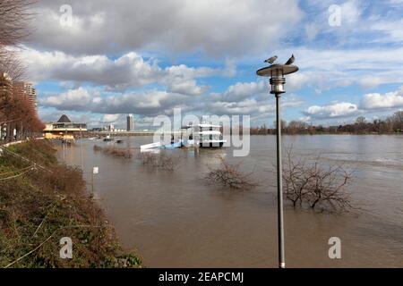 Cologne, Germany, February 4th. 2021, flood of the river Rhine, in the background the Bastei.  Koeln, Deutschland, 4. Februar 2021, Hochwasser des Rhe Stock Photo