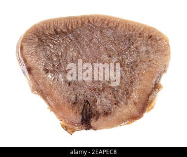 slice of boiled beef tongue isolated on white Stock Photo