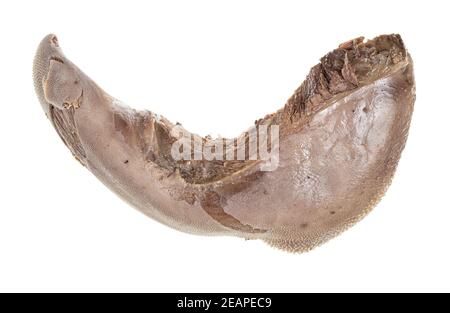 boiled beef tongue isolated on white Stock Photo