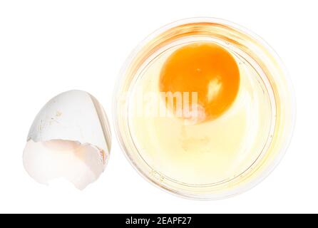 top view of broken egg in glass bowl and shell Stock Photo