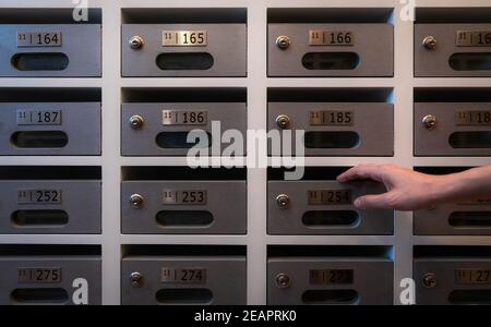 Woman hand open modern mail box of apartment filled home numbers of resident. Mailbox in a row in letter box office of apartment. Post office and envelope mail delivery business concept. Postbox lock. Stock Photo