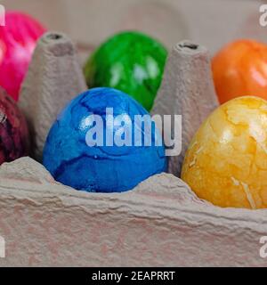 Colored chicken eggs in the package Stock Photo
