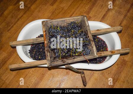 Manual mechanism for crushing grapes. Crush the grapes into juice and wine Stock Photo