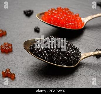 grainy caviar of paddlefish fish and red chum salmon caviar in a spoon, black background Stock Photo