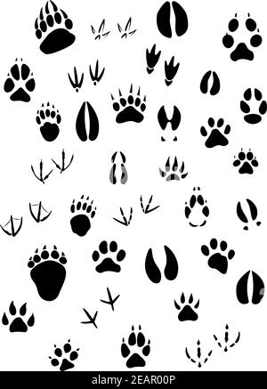 Big set of animal footprints include mammals and birds Stock Vector
