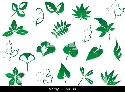 Green tree and plants leaves set isolated on white background for environment, ecology and botany design Stock Vector