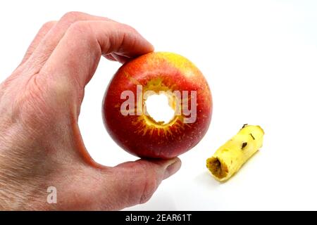 Close up of a hand holding a cored red apple with core in the background isolated against a plain white background. Copy space. Stock Photo