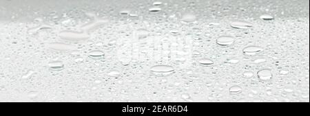 water drops on a glass surface, white color monochrome banner Stock Photo