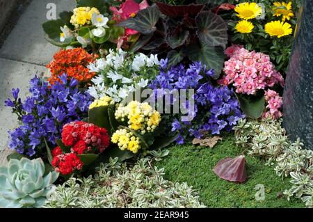 Grabbepflanzung  Randbepflanzung, Blumen Stock Photo