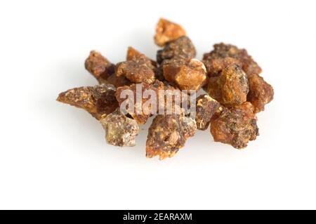 Myrrhenstrauch, Commiphora dulcis, Harz, Stock Photo