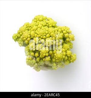 Gruener Blumenkohl, Brassica oleracea Stock Photo