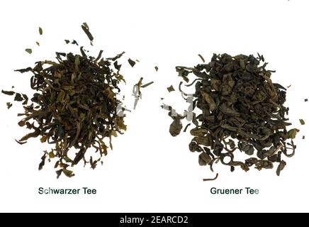 Gruener Tee, Schwarzer Tee Stock Photo