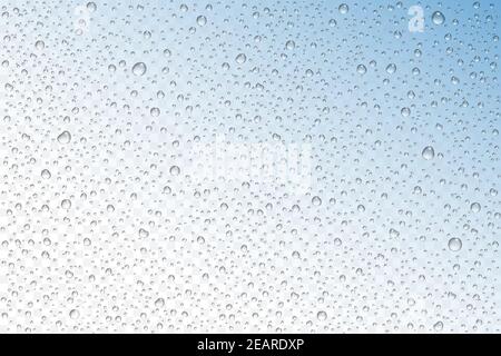 Vector realistic water drops condensed on transparent background. Rain droplets without shadows for transparent surface. Pure water bubbles isolated. Stock Vector