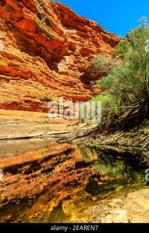 Permanent waterhole in Garden of Eden reflecting red sandstone of Watarrka National Park. Natural pool is a place for rest during Kings Canyon Rim Stock Photo