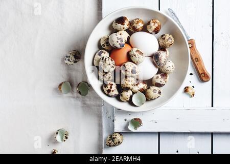 Quail and chicken eggs in a bowl on the table, top view. Stock Photo