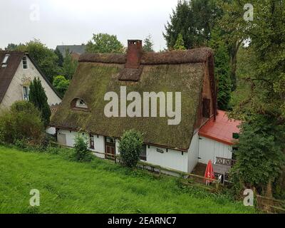 Reetdachhaus, Friesenhaus, Niedersachsen, Altes, Haus Stock Photo