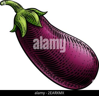 Eggplant Aubergine Vegetable Woodcut Illustration Stock Vector