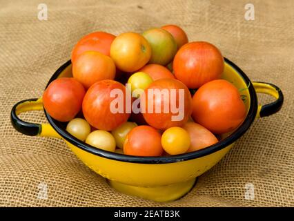Korb mit Tomaten Stock Photo