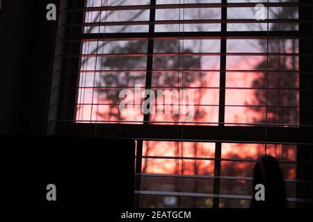 Sunset through the office window Stock Photo