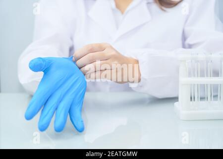 Scientist hands putting in nitrile blue latex gloves in labcoat wearing nitrile gloves Stock Photo