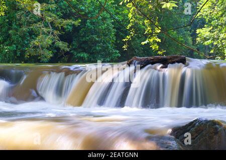 Water falls in tropical rainforest with rock and tree Stock Photo