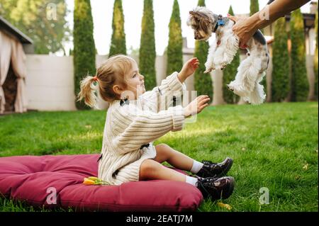 Kid takes in hands funny dog in the garden Stock Photo